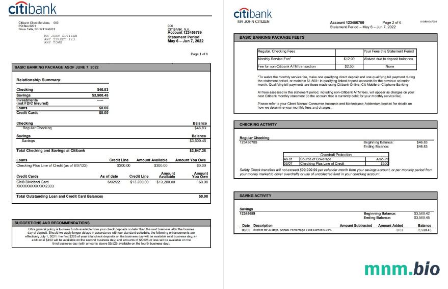 USA Citiwyciąg z konta bankowego szablon Worda i PDF